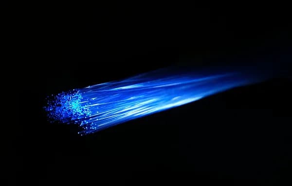 fiber